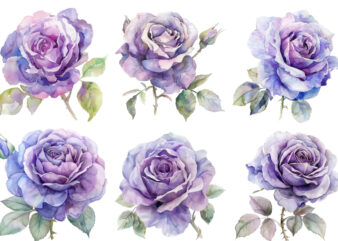 watercolor rose