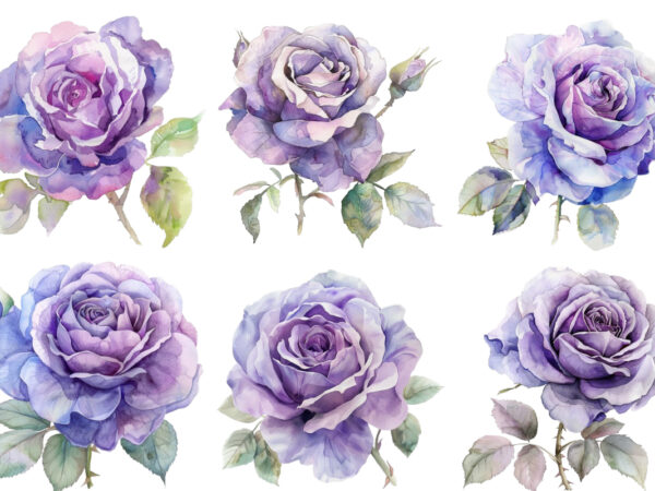 Watercolor rose t shirt design for sale