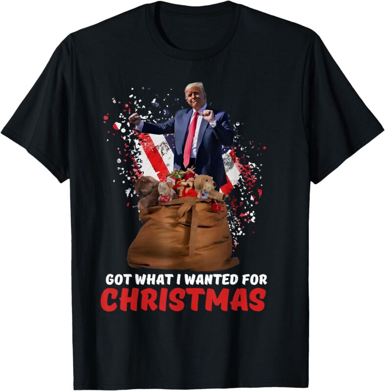 Got What I Wanted For Christmas – Trump Won 2024 President T-Shirt