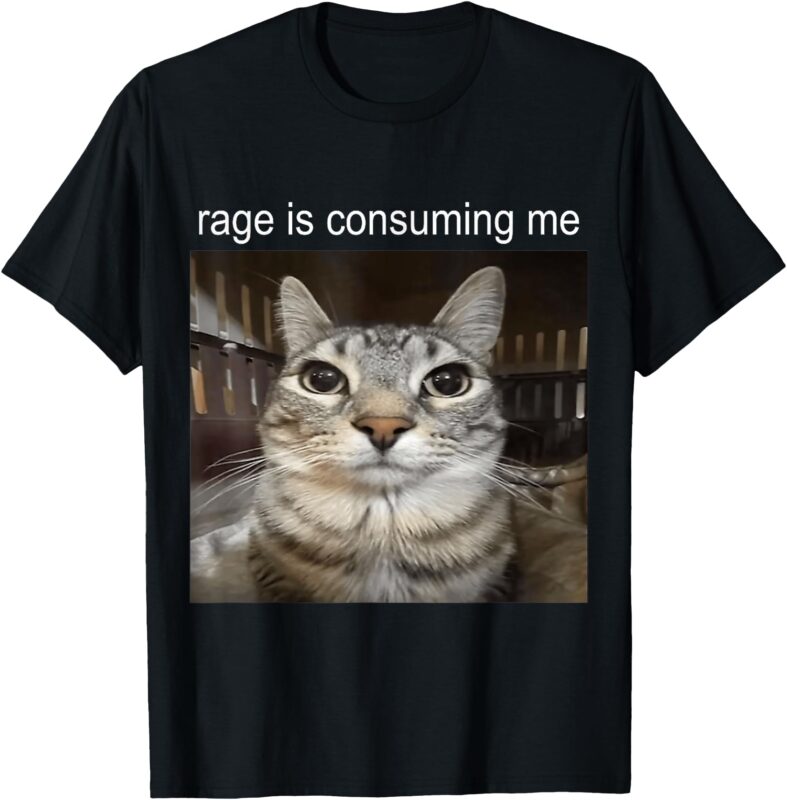 Rage Is Consuming Me Silly Staring Cat Meme FUNNY T-Shirt