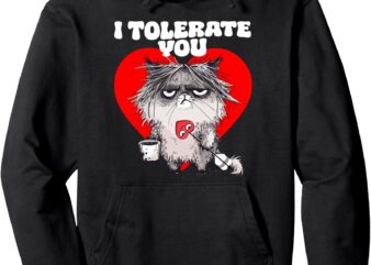 I Tolerate You, Sarcastic Anti Valentines Day Cat Pullover Hoodie