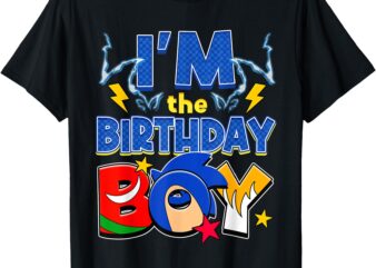 I’m The Birthday Boy Family Matching Hedgehog T-Shirt