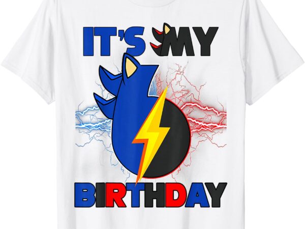 It’s my 6th birthday boy hedgehog family party decorations t-shirt