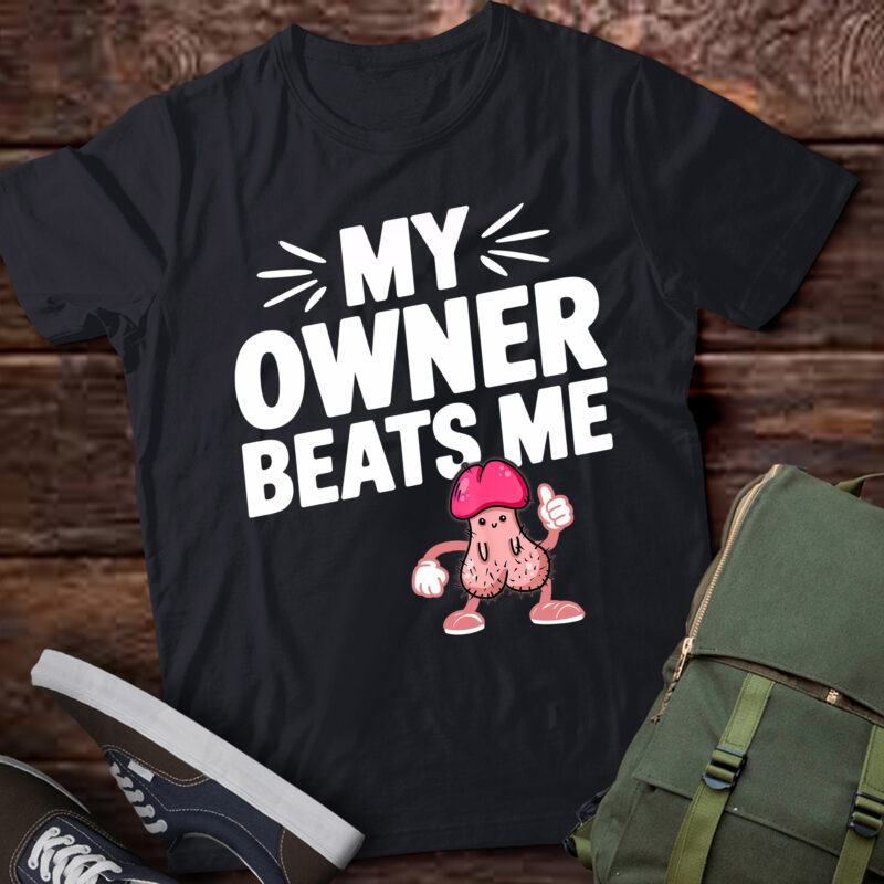LB28 Embarrassing Adult Humor Inappropriate My Owner Beats Me