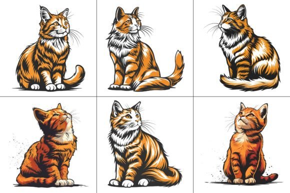 T-Shirt Design Vector Graphic Bundle