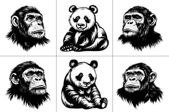 T-Shirt Design Vector Graphic Bundle