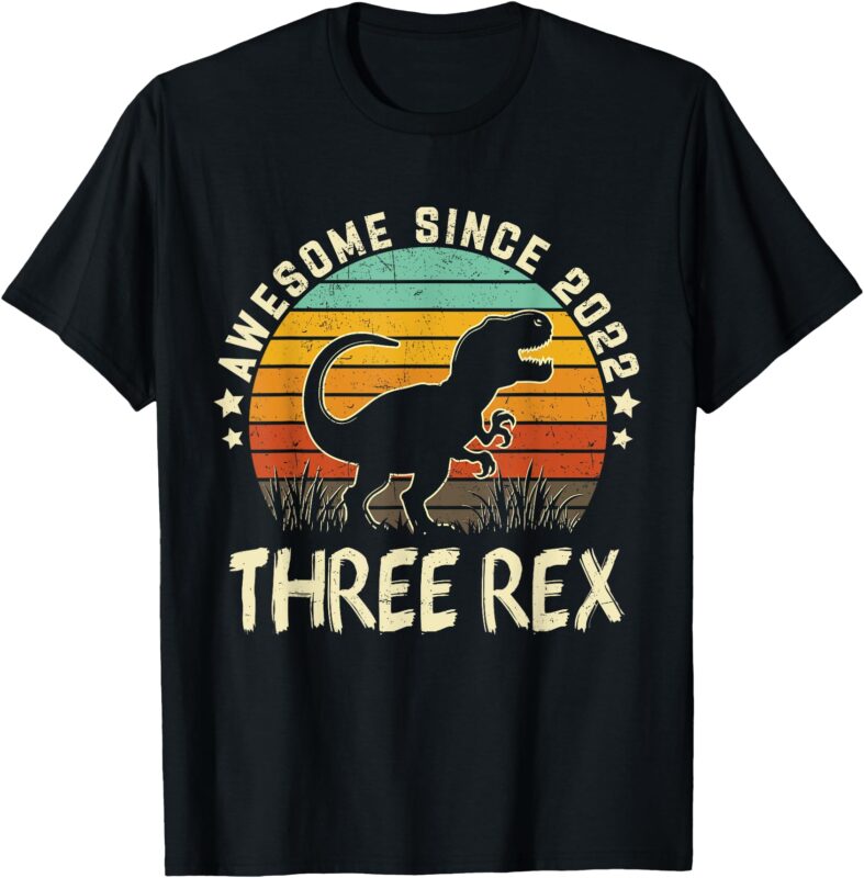 Three Rex Birthday Boy 3 Years Old Dinosaur 3rd Birthday Boy T-Shirt