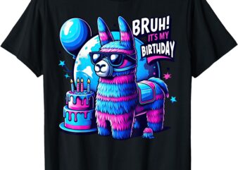Bruh Its My Birthday Llama Pinata Family Party Boys Girls T-Shirt