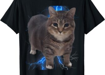 Funny Oiia Oiia Spinning Cat Meme Cat Brainrot T-Shirt