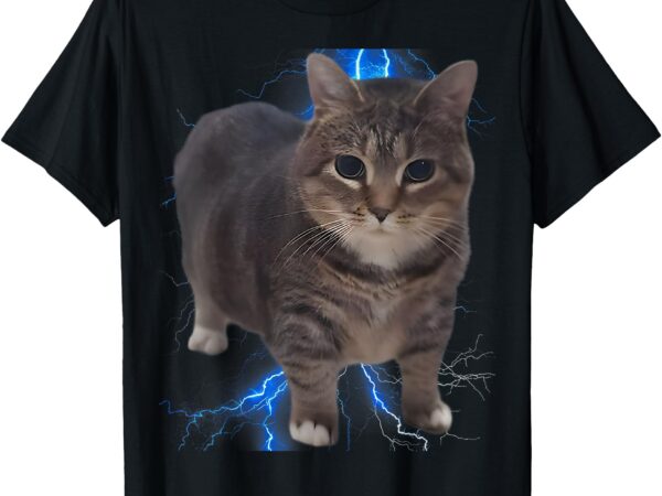 Funny oiia oiia spinning cat meme cat brainrot t-shirt