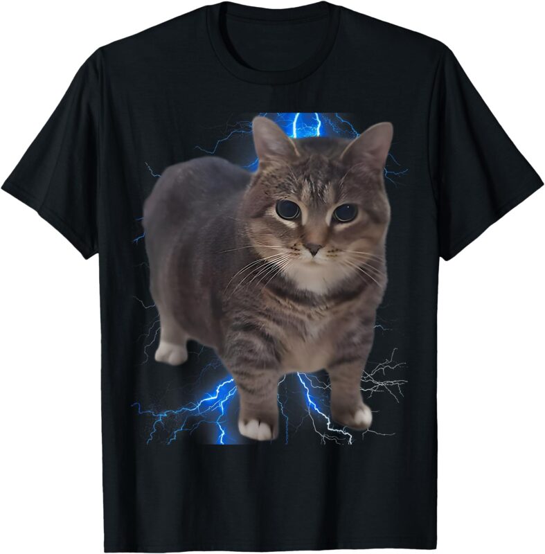 Funny Oiia Oiia Spinning Cat Meme Cat Brainrot T-Shirt