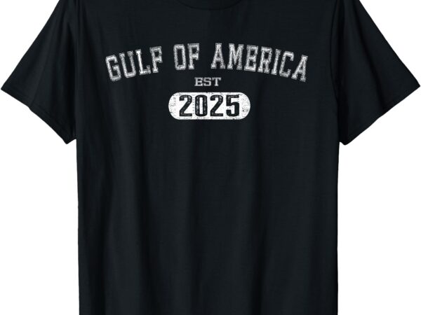 Gulf of us america est 2025 retro vintage usa american flag t-shirt