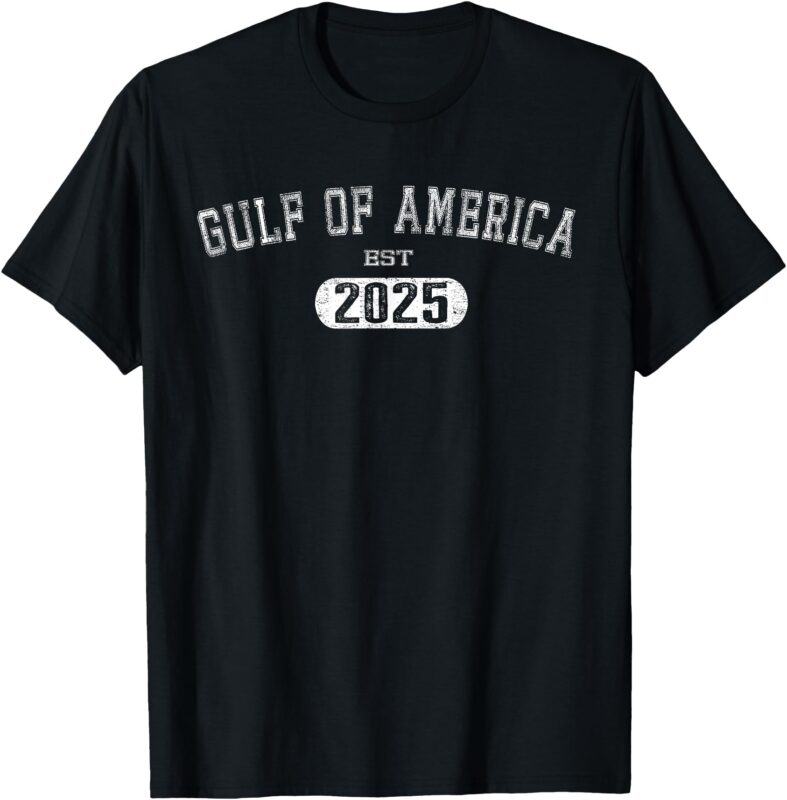Gulf Of US America Est 2025 Retro Vintage USA American Flag T-Shirt