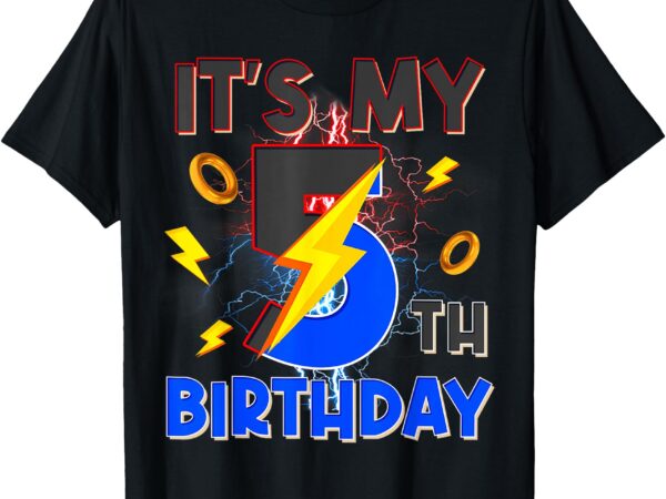 It’s my 5th birthday boy 5th matching hedgehog party t-shirt