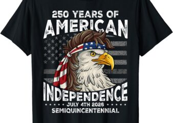 USA 250th Anniversary American Flag Us 4th Of July T-Shirt
