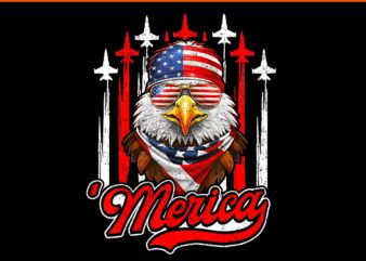 Merica Eagle Airplane 4th Of July American Flag Patriotic PNG, Eagle Airplane 4th Of July PNG, Eagle 4TH Of July PNG