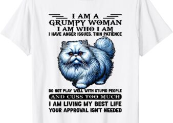 Cute Raccoon I Am A Grumpy Old Woman I Am Who I Am T-Shirt