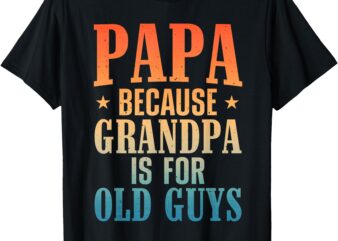 Funny Papa Design For Papa Men Grandpa From Grandkids Papa T-Shirt