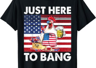 I’m Just Here For The Bang Funny Fireworks Humour T-Shirt