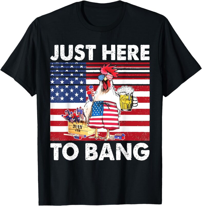 I’m Just Here For The Bang Funny Fireworks Humour T-Shirt