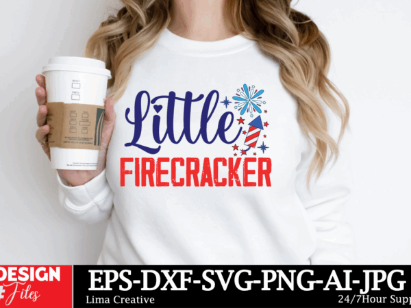 Little firecracker t-shirt design, 4th of july svg bundle, fourth of july svg, usa svg, america svg, patriotic svg, independence day svg, am