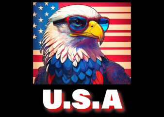 4th Of July Patriotic Bald Eagle USA Merica PNG, Merica 4th Of July PNG, Eagle 4th Of July PNG