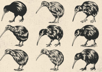 kiwi svg , kiwi Silhouette Vector , Bird Vector