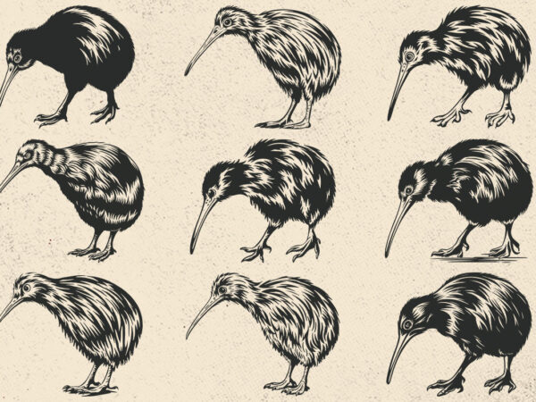 Kiwi svg , kiwi silhouette vector , bird vector