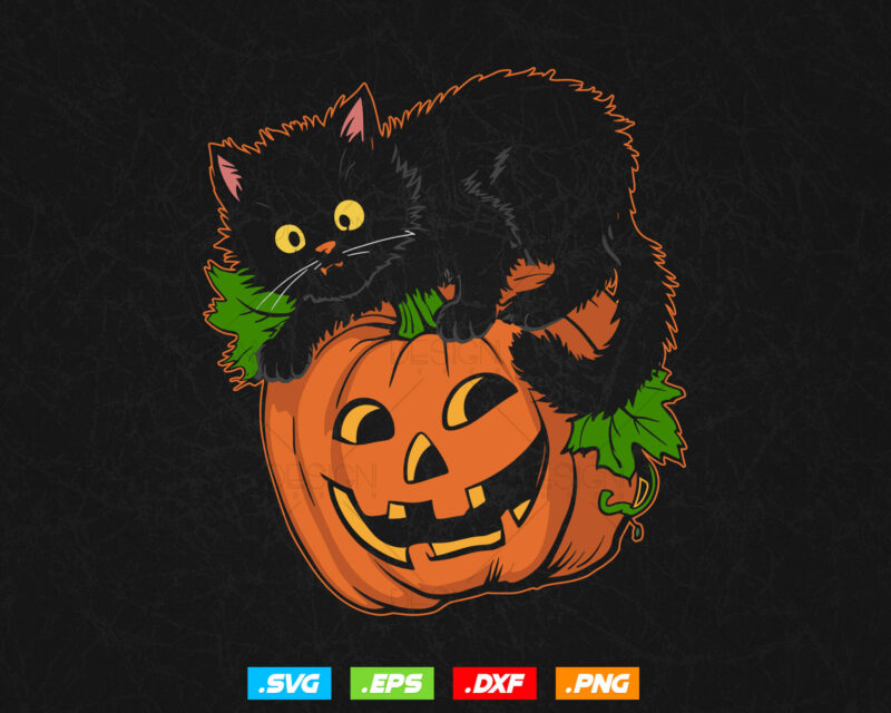 Black Cat Pumpkin Halloween Svg Png, Vintage Fall Gifts, Halloween Tshirts and Hoodies, Spooky Season Svg File, Digital Download