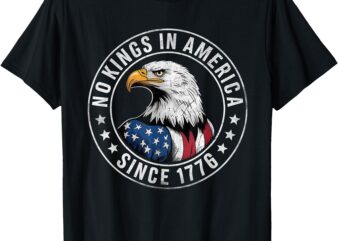 No Kings In America Patriotic Pro-Democracy Protest June 14 T-Shirt