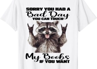 Raccoon Sorry You Had A Bad Day You Can Touch My Boobs Funny T-Shirt