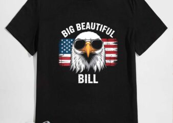 Womens big beautiful bill patriotic eagle usa pride v-neck t-shirt design