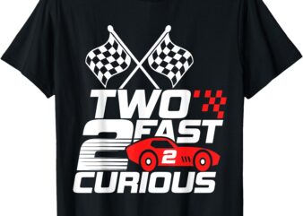 Two Fast 2 Curious Race Car 2nd Birthday Toddler Boy Girl T-Shirt