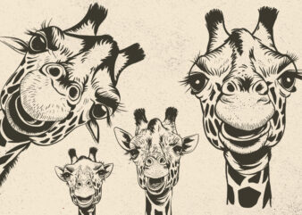 Giraffe SVG, Africa, Safari Animal, Wild life, funny Giraffes, Head, Face, Neck, Peeking