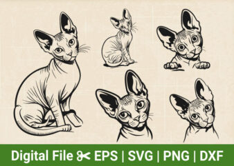 Peeking Cat SVG Bundle, Ginger Cat Peeking svg, vector graphic cut file for cat, Cat SVG files for Cricut,