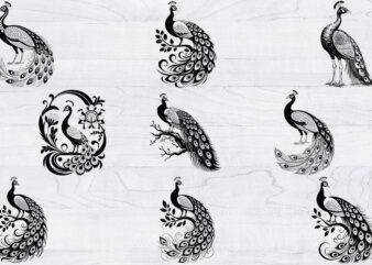 Cute Peacock Svg BUndle, Bird Lover Svg, Wildlife Svg, Animal Svg