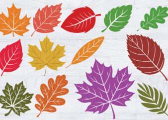Fall Leaves SVG Bundle, Leaf svg leaves fall Outline SVG, Halloween Png
