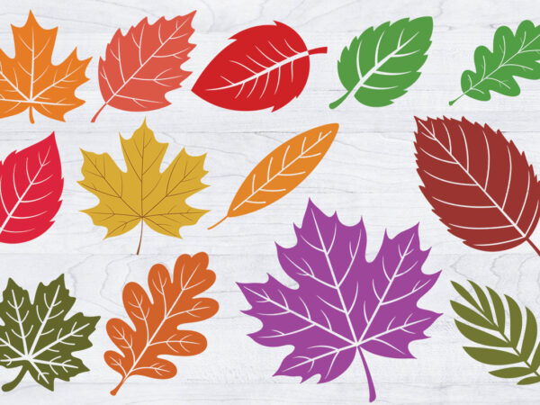 Fall leaves svg bundle, leaf svg leaves fall outline svg, halloween png t shirt graphic design