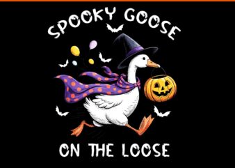 Spooky Goose On The Loose Witch Silly Goose Animal Halloween PNG