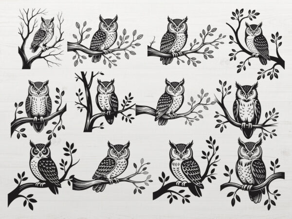 Owl on the branch svg bundle owl shirt svg png t shirt design online Owl on the branch svg bundle owl shirt svg png t shirt design online