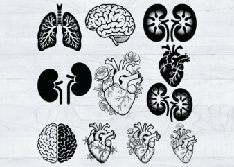 Organs svg bundle, organ silhouette, organs cut files, organs laser cut