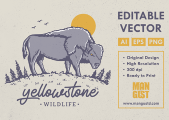 Yellowstone Wildlife