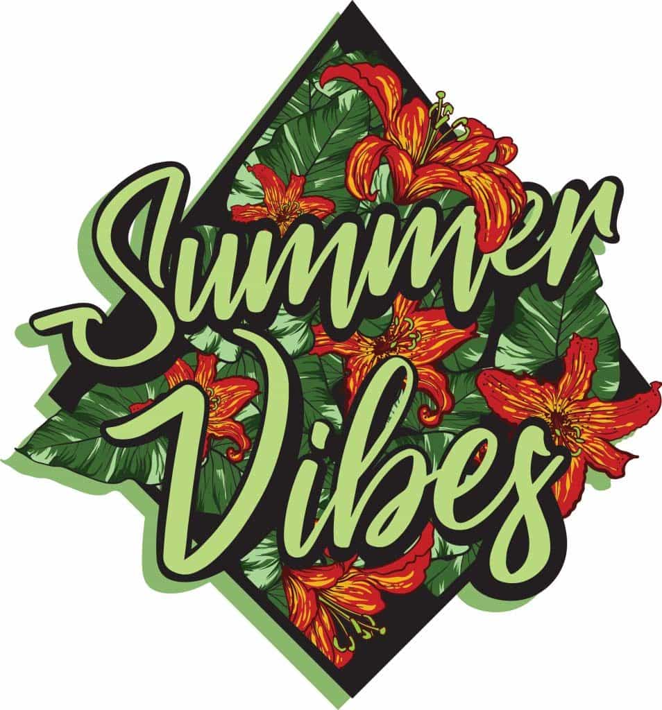 Summer vibes vector t shirt design