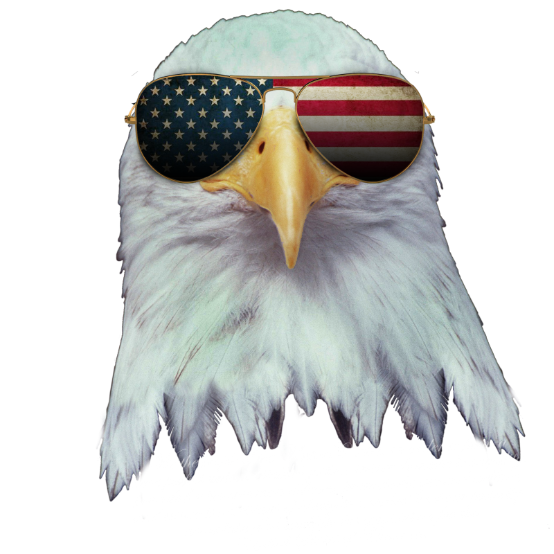 USA/ America/ United States / 4th of July / Memorial Day/ Constitution / Labor Day/ American Eagle/ Proud American