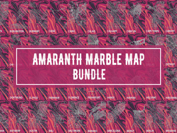 Amaranth marble map t shirt vector